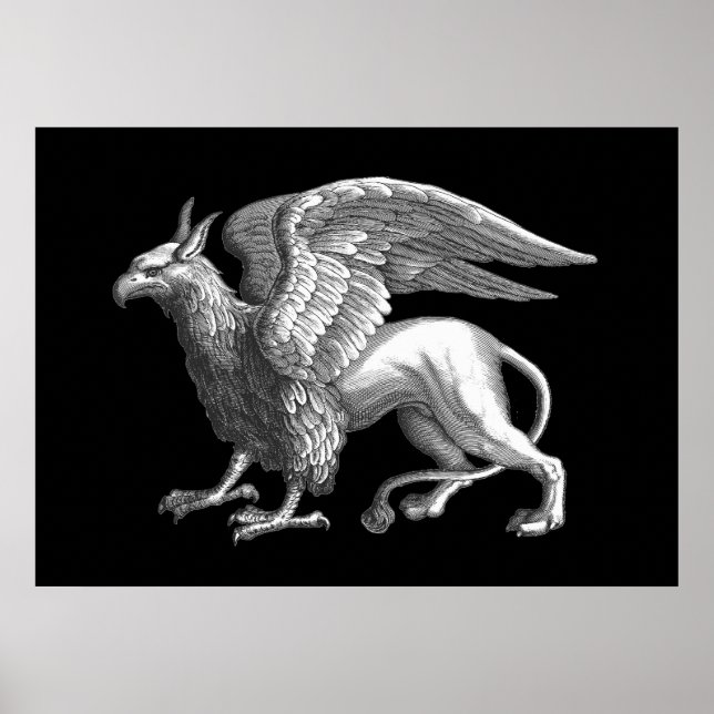 Elegantes Silver Gray / Graues Griffin Legendary B Poster (Vorne)