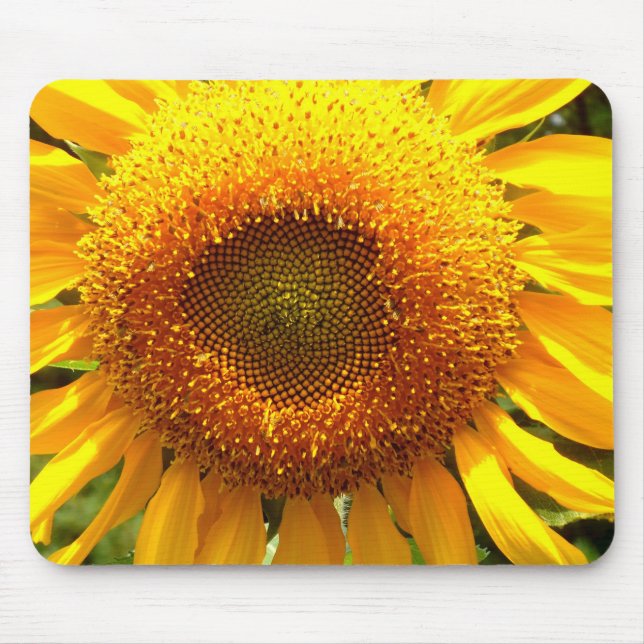 Elegantes Sonnenblumen-Foto Mousepad (Vorne)