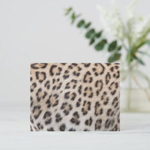 Elegantes, stilvolles Leoparden-Gepard-Felldruckmu Postkarte