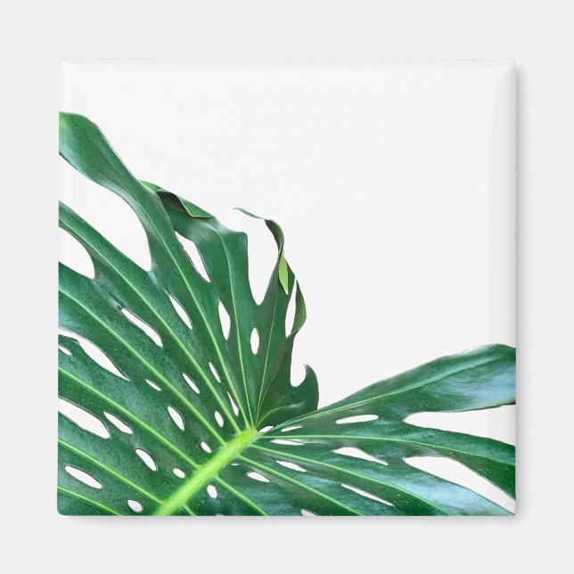 Elegantes tropisches Dschungelblatt aus Palmblätte Magnet (Vorne)