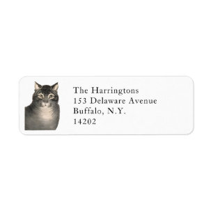 Elegantes Viktorianisches Tabby-Cat-Rückgabeadress
