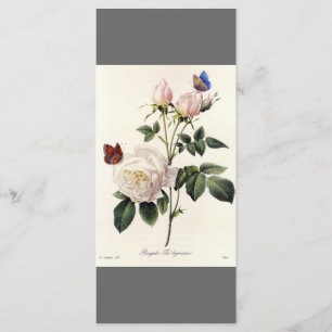 Elegantes Vintages botanisches Lesezeichen Programm