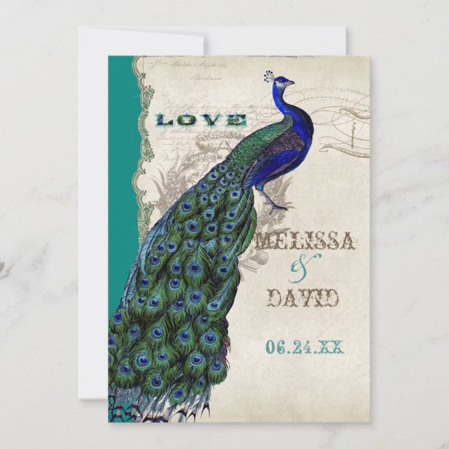 Elegantes Vintages Peacock Schwanz Feathers-Skript Einladung (Vorderseite)