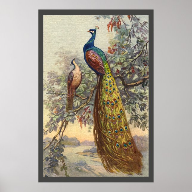 Elegantes Vintages Pfauenbaumposter Poster (Vorne)