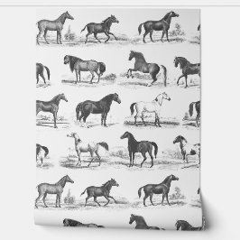 Elegantes Vintages Pferdegeflecht Schwarz-weiß Tapete