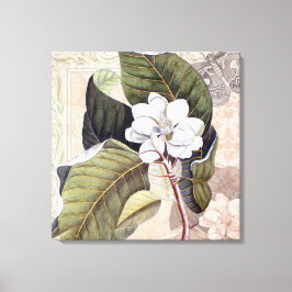 Elegantes Vintages Südliches Magnolia Leinwanddruck