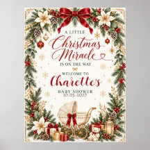 Elegantes Weihnachts-Baby-Shower-Schild Poster