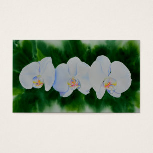 Elegantes, weißes Aquarell-Orchideenbild