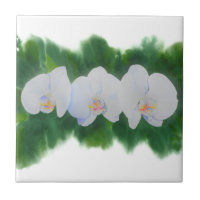 Elegantes, weißes Aquarell-Orchideenbild
