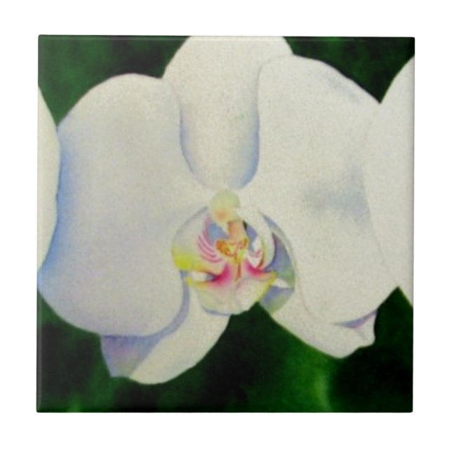 Elegantes, weißes Aquarell-Orchideenbild Fliese (Vorderseite)