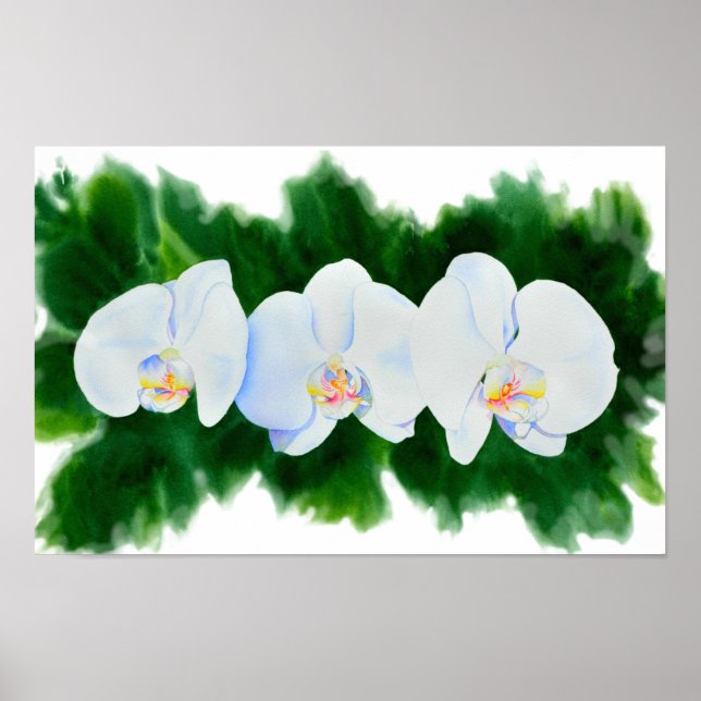 Elegantes, weißes Aquarell-Orchideenbild Poster (Vorne)
