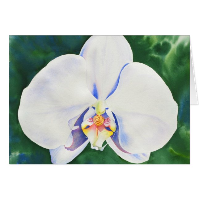 Elegantes weißes Orchideengemälde (Vorderseite (Horizontal))