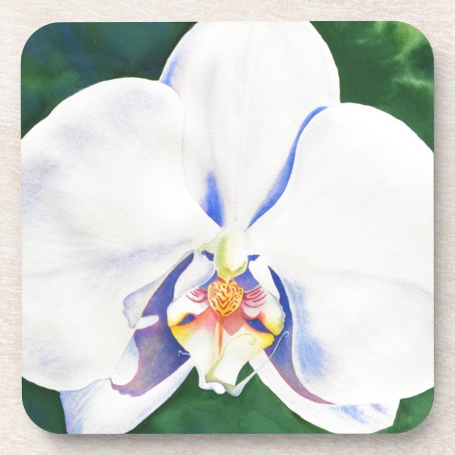 Elegantes weißes Orchideengemälde Getränkeuntersetzer (Vorderseite)