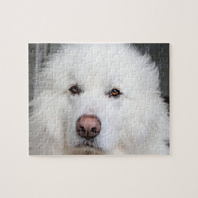Elegantes White Great Pyrenäen Dog Puzzle (Horizontal)