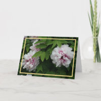 Elegantes White Peonies Foto Golden Frame Beileid