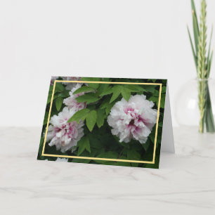 Elegantes White Peonies Foto Golden Frame Beileid Karte