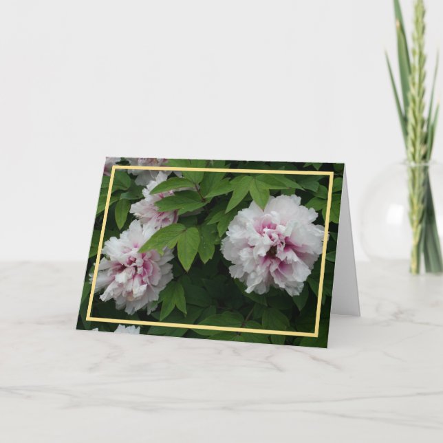 Elegantes White Peonies Foto Golden Frame Beileid Karte (Vorderseite)