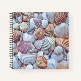 Elegantes White Seashells Artwork | Notebook Notizbuch