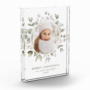 Elegantes Winter Foliage und Snowberries Foto