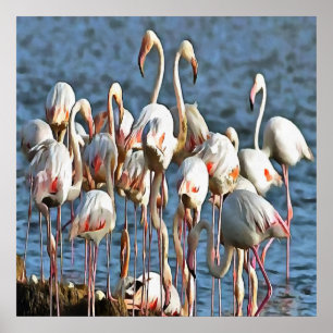 Eleganz des rosa Flamingos Poster