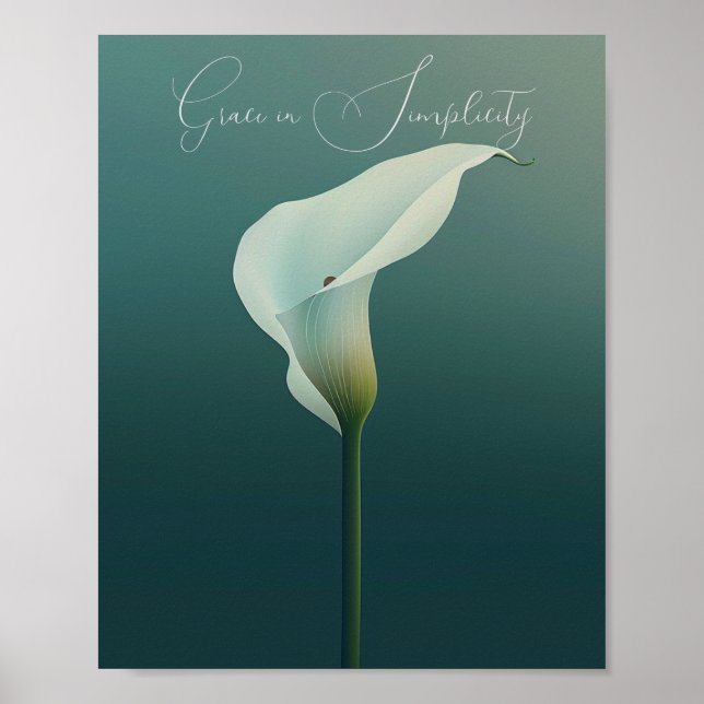 Eleganz in Einfachheit: Die Calla Lily Poster (Vorne)