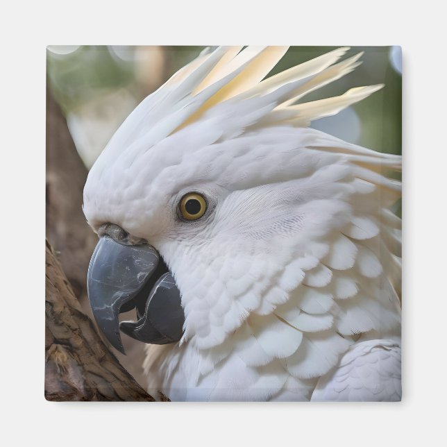 Eleganz in Weiß: Das majestätische Aussie Cockatoo Magnet (Vorne)