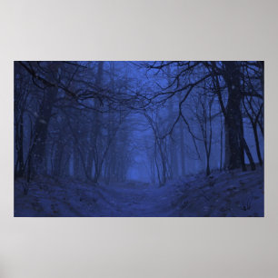 Elegie (Winter/Nacht) Poster