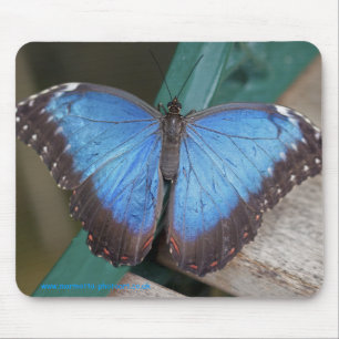 Elektrisch blaue Mausmatte Mousepad