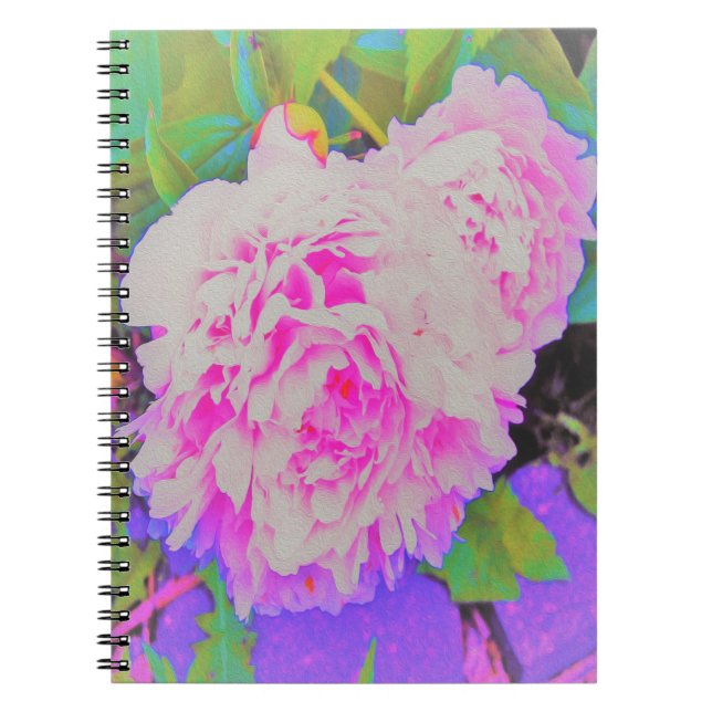 Elektrisch-rosa-Peonies im farbenfrohen Garten Notizblock (Vorderseite)