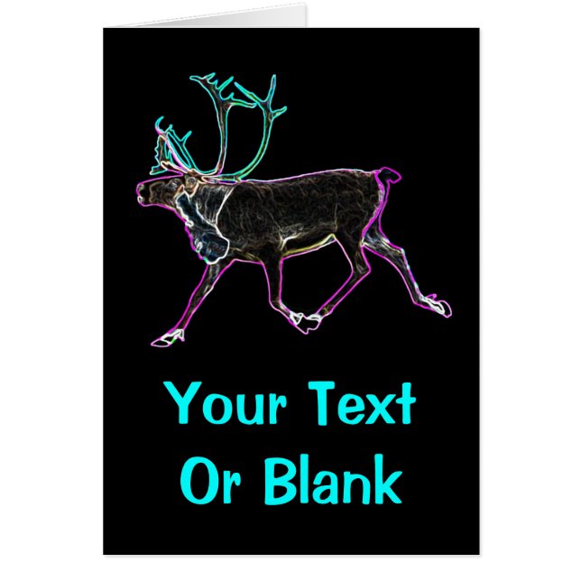 Elektrische Karibik (Vorne)