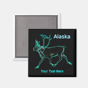 Elektrische Karibik - Alaska Magnet