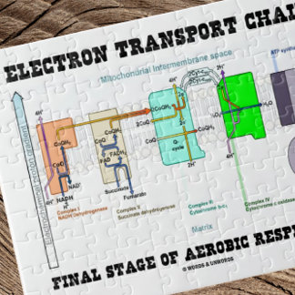 Elektrische Transportkette Endgültige Bühne der Ae Puzzle