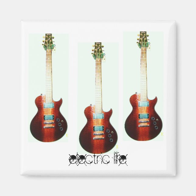 elektrischer Lebensmagnet Magnet (Vorne)