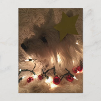 Elektrischer Lichtstrahl Postkarte