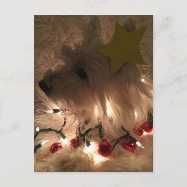 Elektrischer Lichtstrahl Postkarte (Vorderseite)