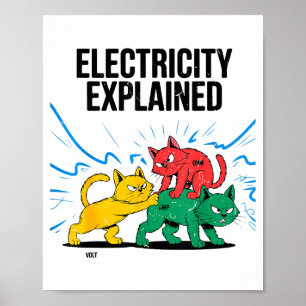 Elektrizität einfach erklärt lustige Katzen Physik Poster