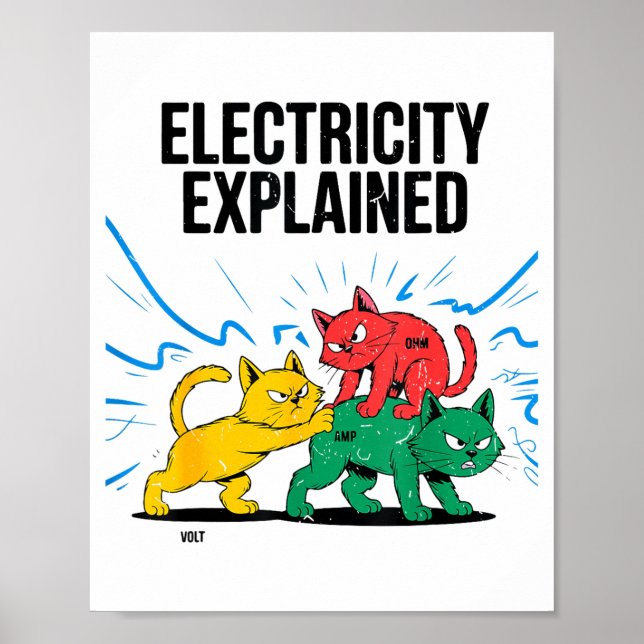 Elektrizität einfach erklärt lustige Katzen Physik Poster (Vorne)