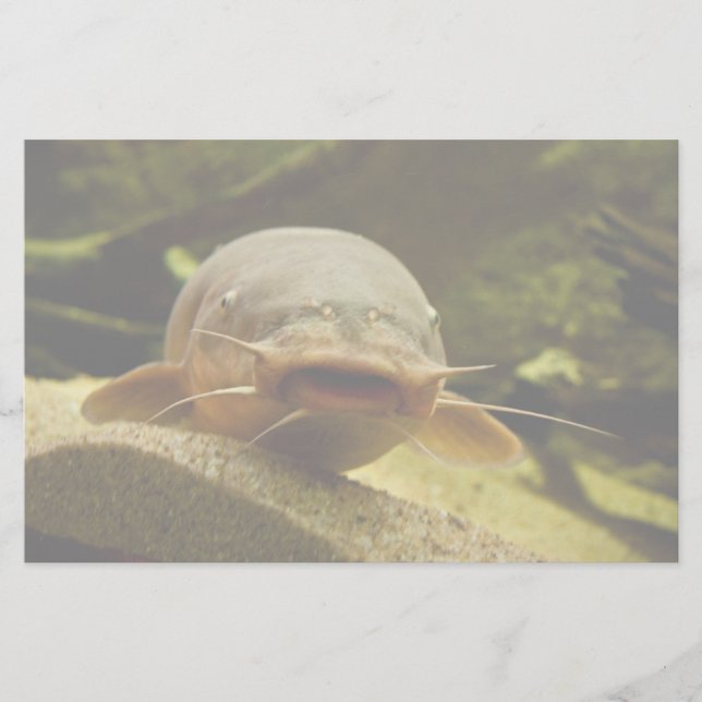 Elektrofisch Briefpapier (Vorderseite)