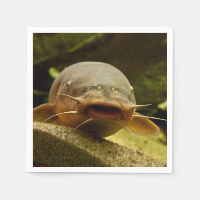 Elektrofisch Serviette (Vorderseite)