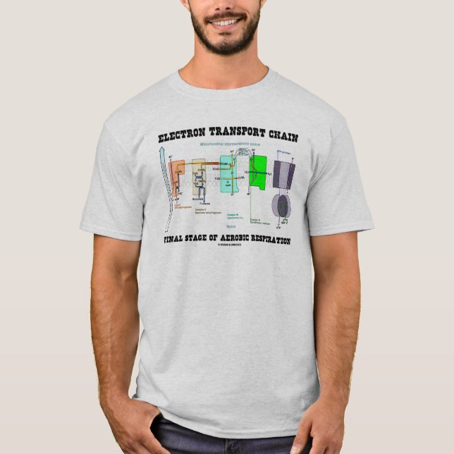Elektron-Transport-Ketten-abschließende Bühne von T-Shirt (Vorderseite)