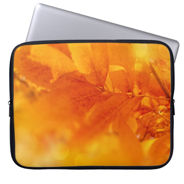 Elektronik-Beutel farbige Herbstleuchten Laptopschutzhülle (Vorderseite)
