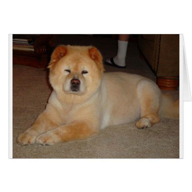 Elemente anzeigen (Vorderseite (Horizontal))