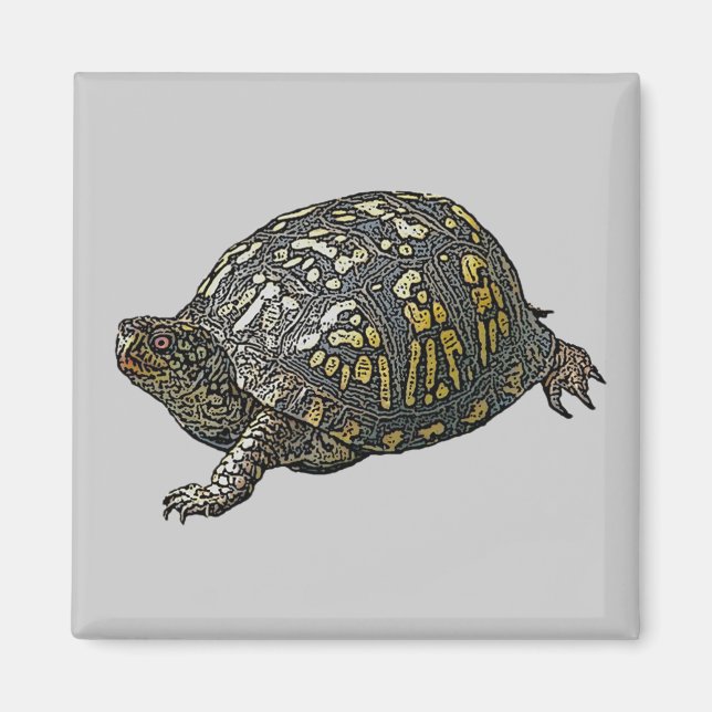Elemente zur Koordination von Ostkasten-Schildkröt Magnet (Vorne)