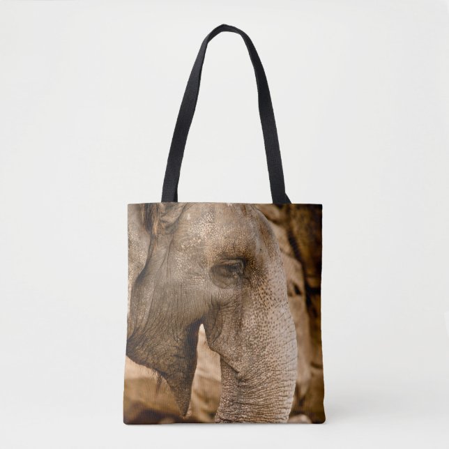 ELEPHANT (Vorderseite)