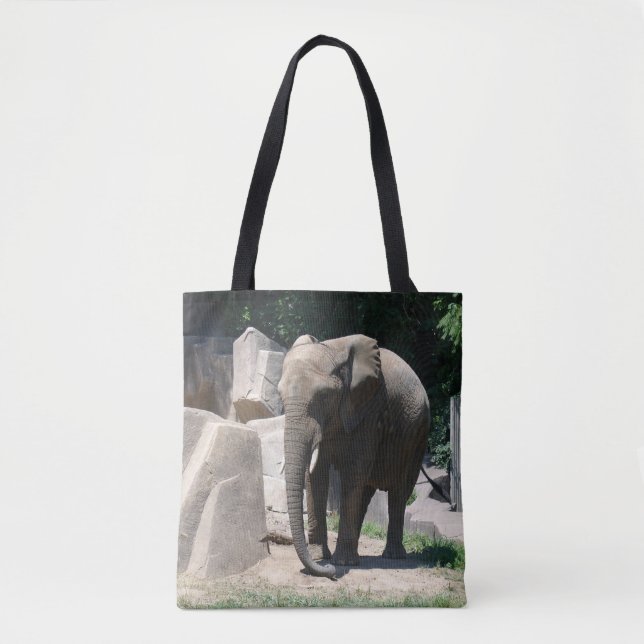 Elephant (Vorderseite)