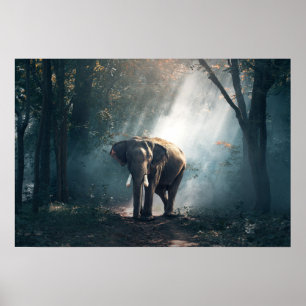 elephant-1822636 poster