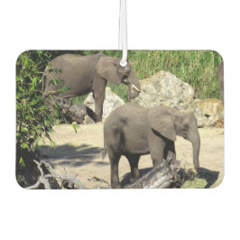 Elephant Air Freshener Autolufterfrischer