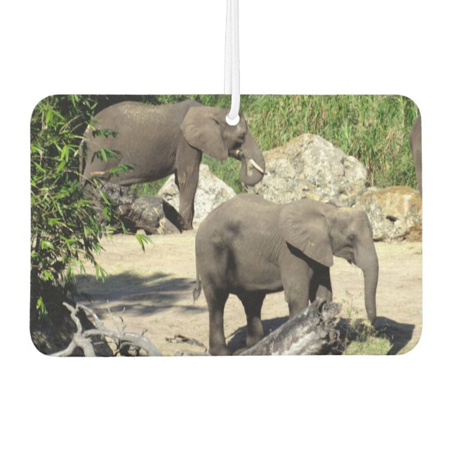 Elephant Air Freshener Autolufterfrischer (Vorderseite)