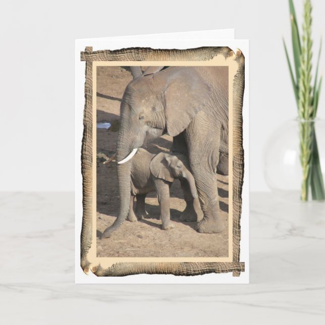 Elephant and Calf Card (Elephant Trunk Frame) Karte (Vorderseite)