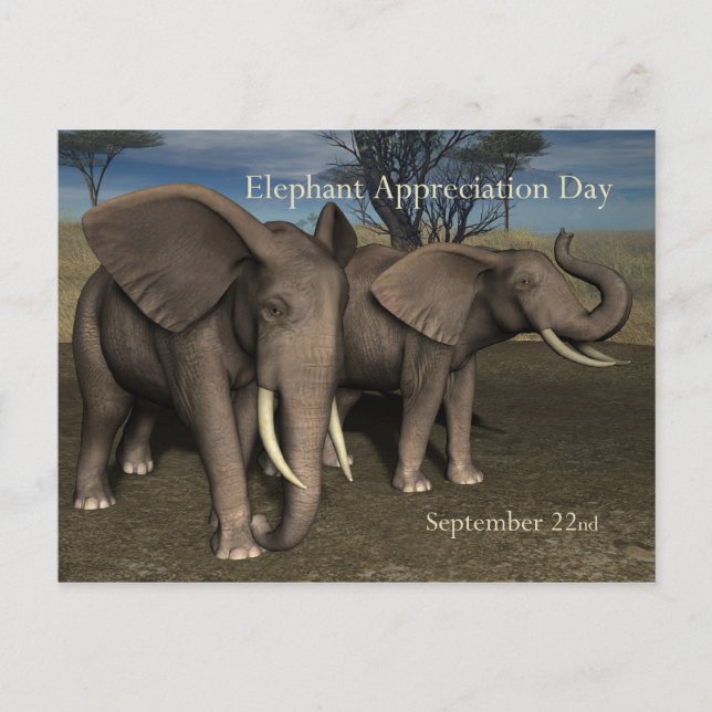 Elephant Appreciation Day PostCard 22. September Postkarte (Vorderseite)